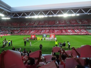Le grand stade de Lille, symbole de la transformation du football français